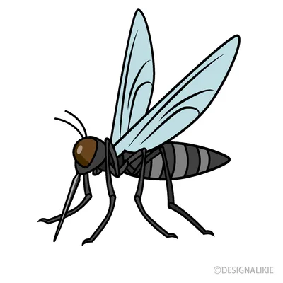 Mosquito Repellent