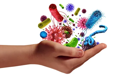 Immunity
