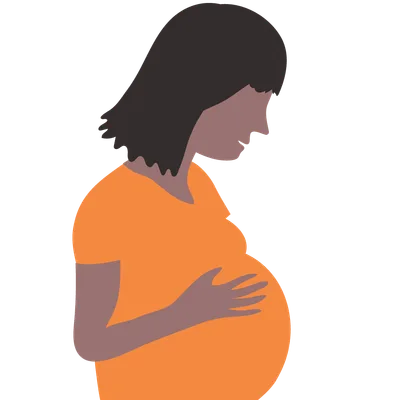 Pregnancy Supplements