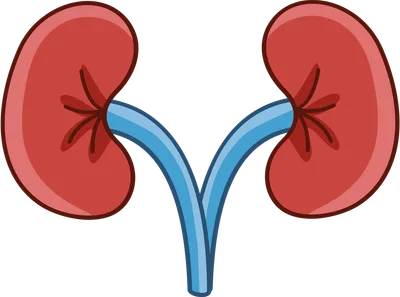 Renal Supplements