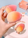 SG SHEGLAM InstaReady Powder Sponge